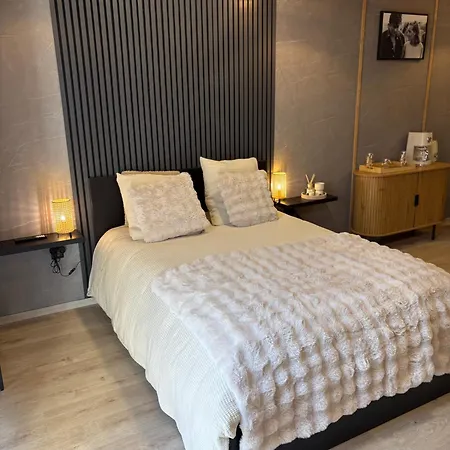Opalys 住宿加早餐酒店 Biache-Saint-Vaast